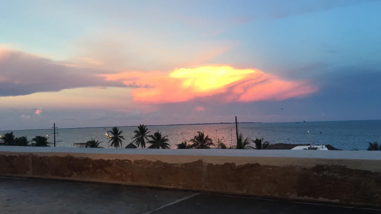 קנקון The Mermaid Hostel Beach (Adults Only) מראה חיצוני תמונה